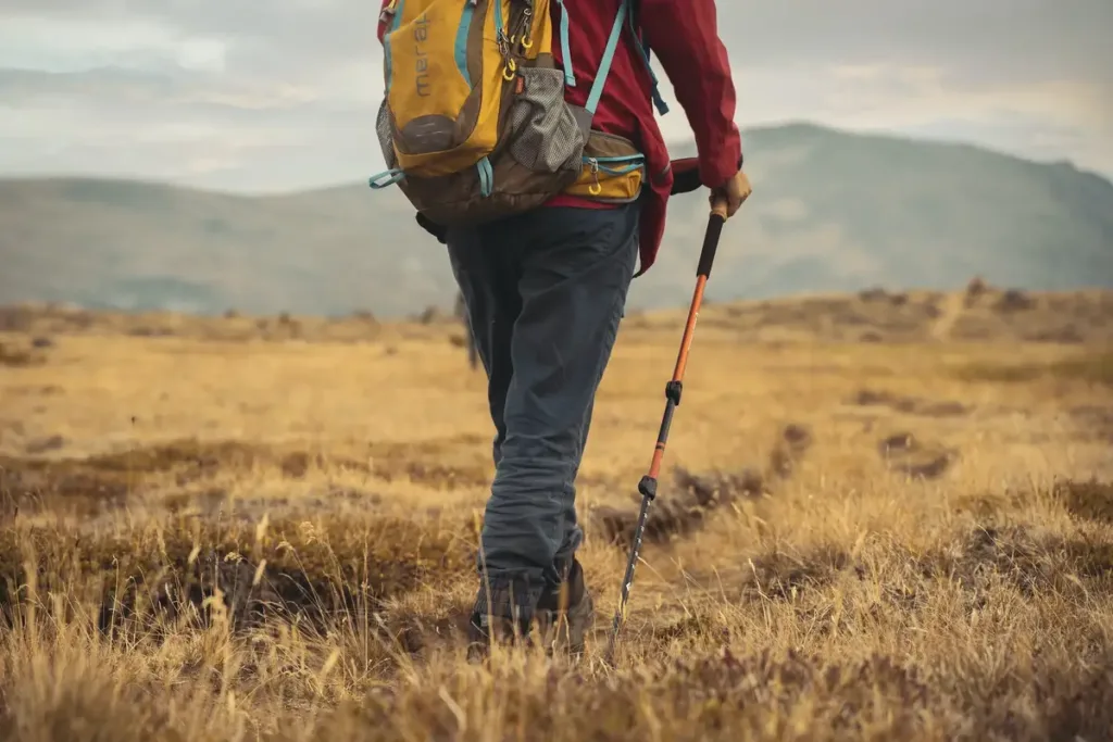 person walking with trekking poles
