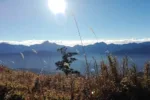 sun over mountain line and high altitude vegetation